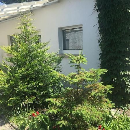 Kleines Haeuschen Am Garten In Darmstadt Buitenkant foto